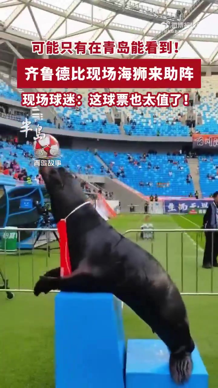 齊魯?shù)卤纫牒＊{表演 現(xiàn)場(chǎng)頂球引球員側(cè)目