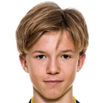 斯特蘭內(nèi)戈德