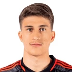 加布里埃爾·皮拉尼