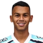 費爾南多·恩里克