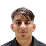 埃米利亞諾·馬丁內(nèi)斯