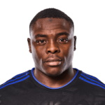 伊布拉希莫維奇