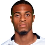 丹澤爾·伯格佐格