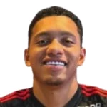 達(dá)尼埃爾·薩萊斯