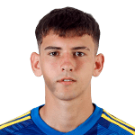 皇家維戈塞爾塔