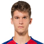 馬克·卡爾多納